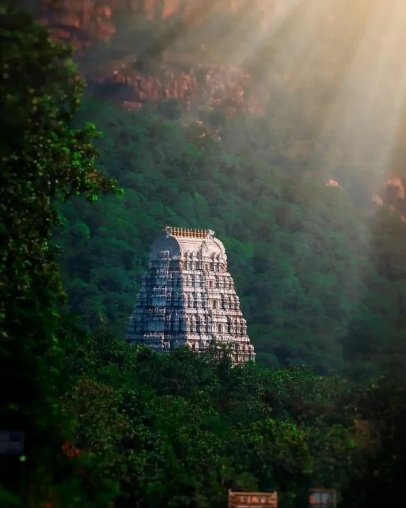 Tirumala.online Background Image